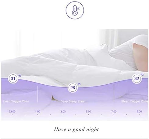Zipper Closure Duvet Cover 600 Thread Count Egyptian Cotton 5-PCs