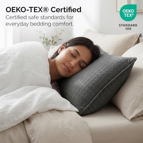 2-Piece Quilted Euro Pillow Shams 22x22 Inch Soft Microfiber Slate
