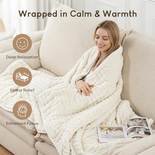 Cottonblue Weighted Blanket for Adults 15lbs Queen Size 60"x80" Soft