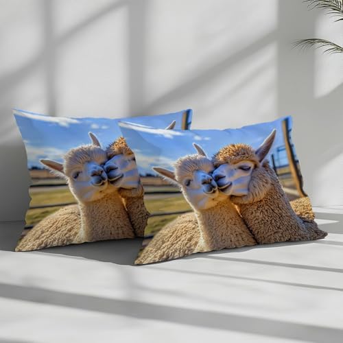 California King Duvet Cover Set Animals Alpacas in Love Soft