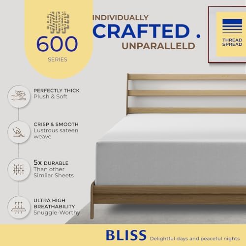 Thread Spread 100% Egyptian Cotton California King Fitted Sheet Only