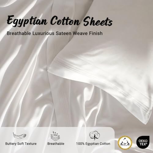 SUPERIOR Egyptian Cotton 4 Piece Sheet Set, 1000 Thread Count, Modern