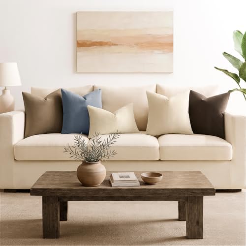 Throw Pillow Covers Set of 2 20x20 Inch Velvet Pillow Covers, Soft