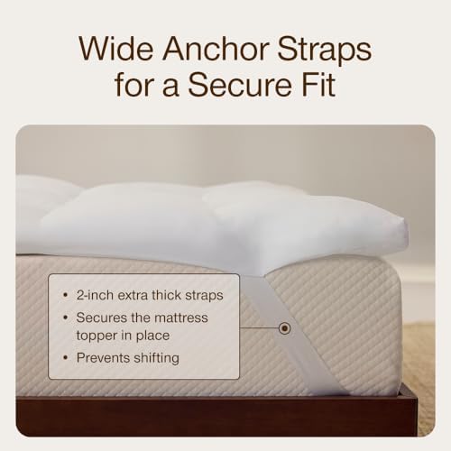 Coop Home Goods Essence Down Alternative Mattress Topper Queen, Plush