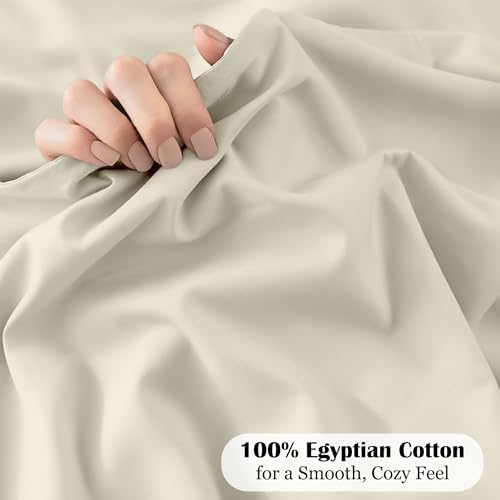 Egyptian Cotton Fitted Sheet Top Split King 16 Inch Deep - Ivory