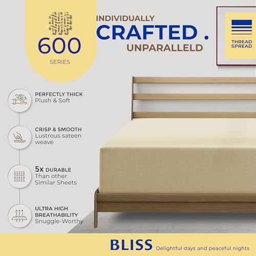 Thread Spread Twin XL Fitted Sheet Only - 100% Egyptian Cotton 600