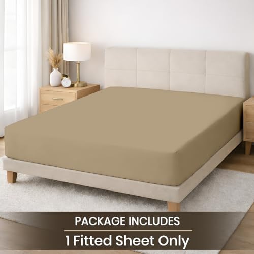 SGI bedding 100% Egyptian Cotton 600 TC Queen Size Fitted Sheet Only