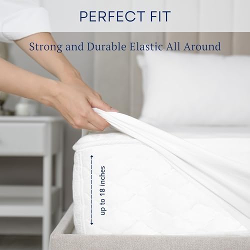 Pointehaven 180 GSM Brushed Cotton Solid Color Flannel Sheet Sets