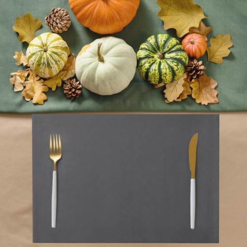 Charcoal Gray Placemats Set of 8, Vintage Minimalist Solid Color Micro