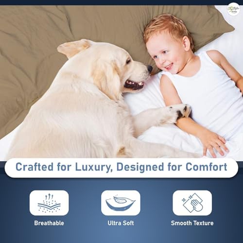 100% Egyptian Cotton King Size Pillowcases Set of 2, Taupe Solid
