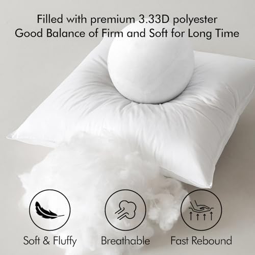 MIULEE 20x20 Throw Pillow Inserts,Set of 2 Decorative Pillow Inserts