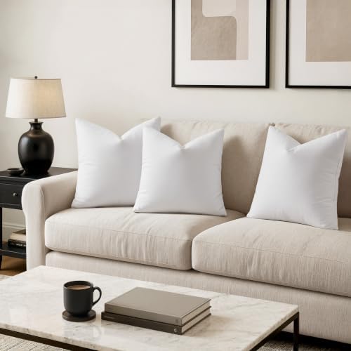 MIULEE 20x20 Pillow Inserts, Set of 2 Feather Down Throw Pillows