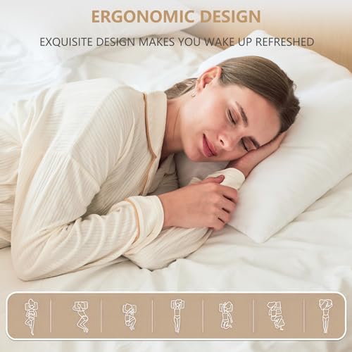 Obruosci Luxury Pillow Inserts, Pack of 4, 20 x 20 inches