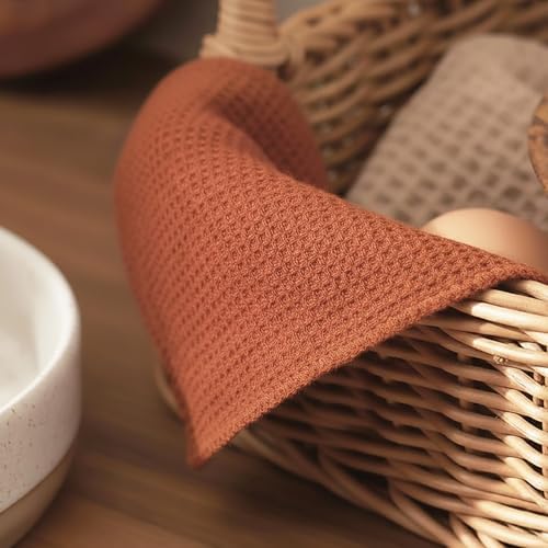 PurpleEssences Solid Kitchen Cloths, Dish Cloth 12x12 Set of 6 - Rust