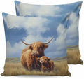 20x20 Pillow Covers Set of 2, Farm Yak Throw Pillow Covers Decorative