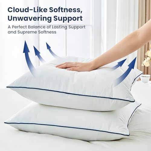 Down Pillow Inserts 20x20, Set of 2, 100% Goose Down Feather Throw