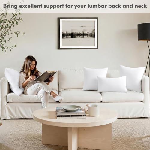 MIULEE 20x20 Pillow Insert, Premium Throw Pillow with Virgin Fiber