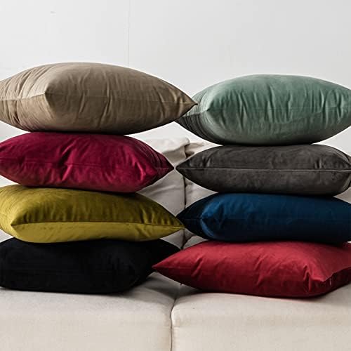 Sage Soft Velvet Throw Pillow Covers 20x20 inch Set of 2 for Sofa