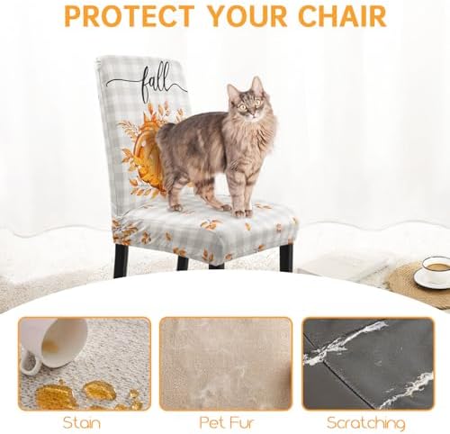 Fall Chair Covers Set of 6 Neutral Gingham Pumpkin Parsons Chair