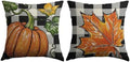 Fall Pillow Covers 22X22 Set of 2, Pumpkin Maple Leaf Burnt Orange