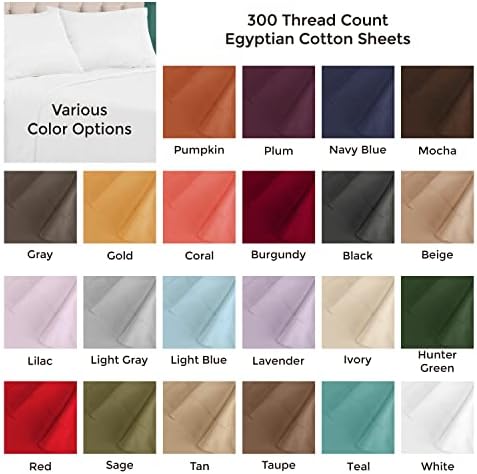BLUENILEMILLS BNM 300 Thread Count Egyptian Cotton Sheet Set, Modern