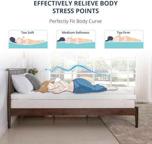 EGOHOME 3 Inch Queen Memory Foam Mattress Topper with Removable Cover