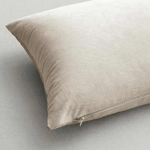 MIULEE Velvet Throw Pillow Covers 20x20 Inch Pack of 2 Cream White