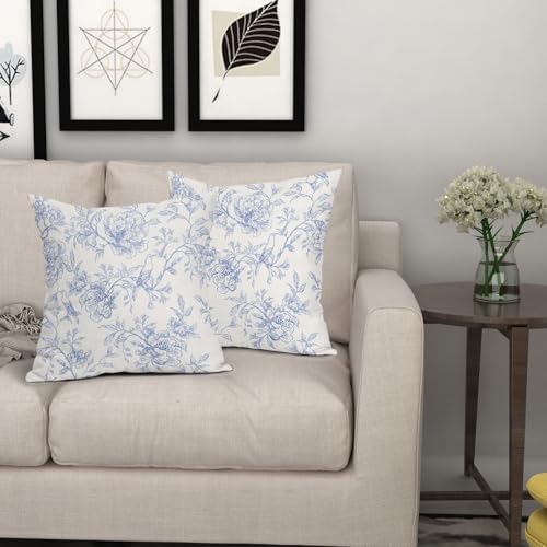 White Blue Chinoiserie Pillow Covers 22x22 Set of 2 Decorations
