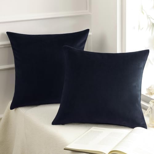 Phantoscope Pack of 2 Velvet Decorative Throw Decorative Pillow Cover