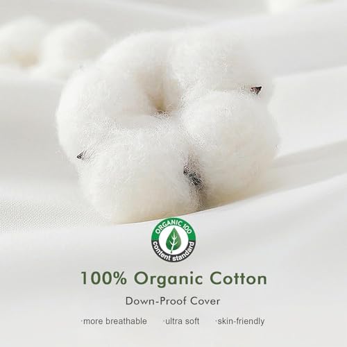 TOPGREEN Feather Down Throw Pillow Inserts 18 x 18, Set of 2, 100%