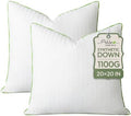 Ashler Synthetic Down Pillow Inserts, 20x20, Set of 2