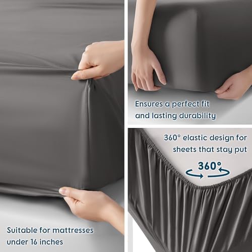 SONORO KATE 800 Series 100% Egyptian Cotton King Sheet Set,Sateen