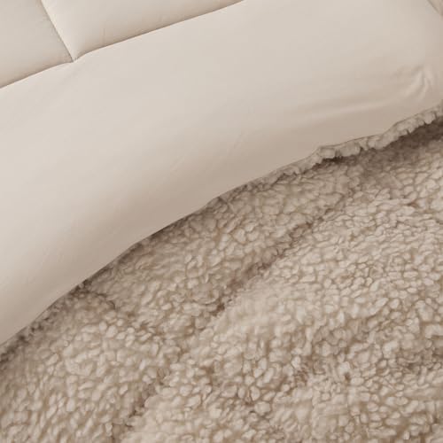 Cotton Candy - Coma Inducer® Oversized King Comforter - Butterscotch