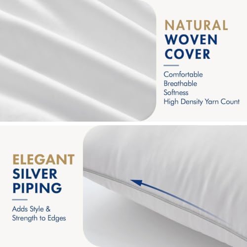 MIULEE 20x20 Inch Pillow Inserts Pack of 2 with Textured Woven Fabric