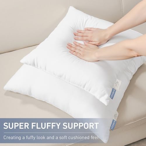 Leeden 20x20 Throw Pillow Inserts Set of 2, Pillow Forms for Couch