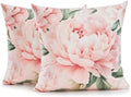 Pink Peony Velvet Pillow Covers 20x20 Set of 2, Shabby Chic