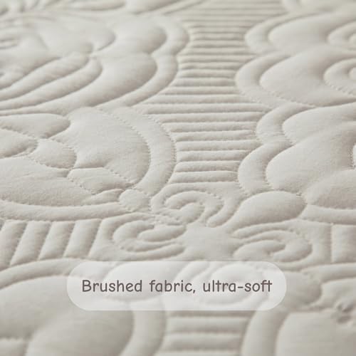 meadow park Embroidered Quilt Set King Size - 3 Pieces, Washed