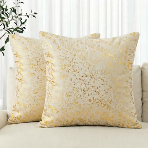 AVOIN colorlife Gold Foil Velvet Throw Pillow Covers 20 x 20 Inch