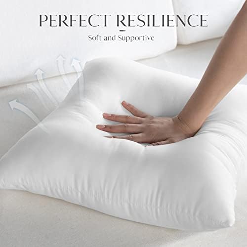 Ashler Outdoor Pillow Inserts, 18x18 Waterproof Throw Pillows Pack of