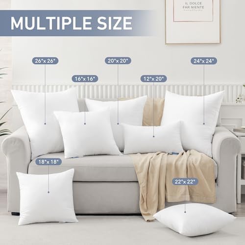 Leeden 20x20 Throw Pillow Inserts Set of 2, Pillow Forms for Couch