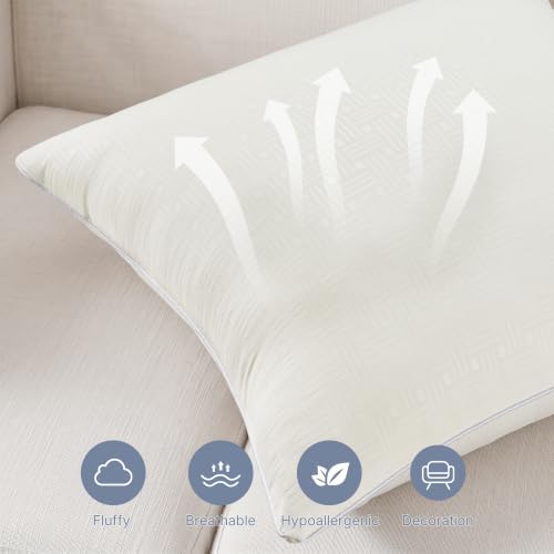 Leeden 20 x 20 Throw Pillow Inserts Set of 2 Pillow Forms for Sofa