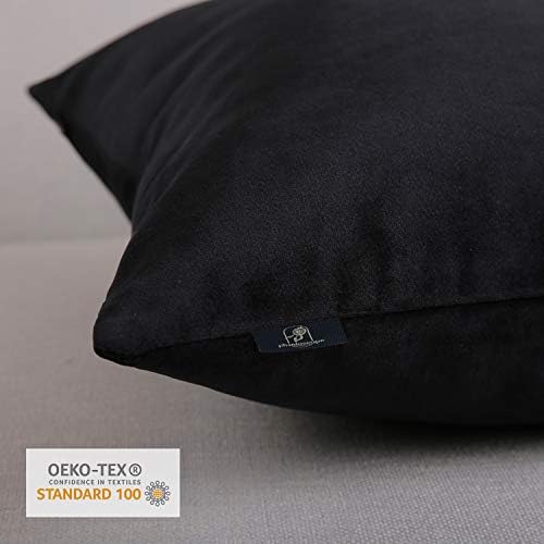 Phantoscope Pack of 2 Velvet Decorative Throw Decorative Pillow Cover