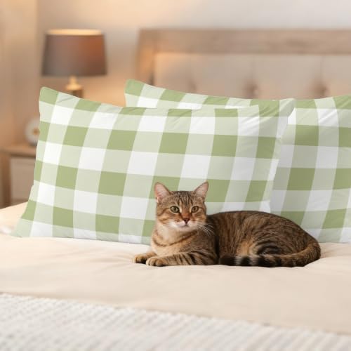 Light Green Buffalo Plaid Outdoor Waterproof Throw Pillow Covers Set