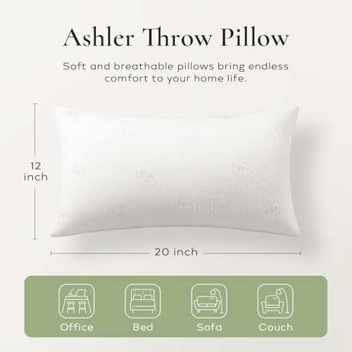 Ashler 12x20 Throw Pillows Insert Pack of 2, Lumbar Pillow