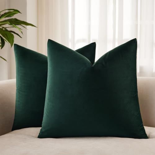 JUSPURBET 22x22 Decorative Velvet Throw Pillow Covers Set of 2,Army