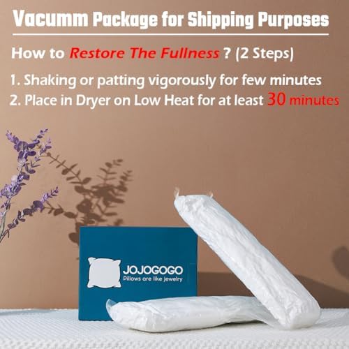 JOJOGOGO 20x20 Throw Pillow Inserts Set of 2, 20 x 20 Decorative