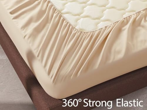 2 Pack 600 Thread Count 100% Egyptian Cotton Fitted Sheet Only, Cal