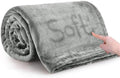 Fleece Throw Blanket Couch Travel 50x60 Silver Grey
