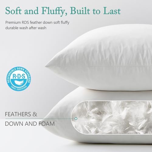 BPC Luxury Feather Down 20x20 Pillow Inserts Set of 2, Soft Fluffy