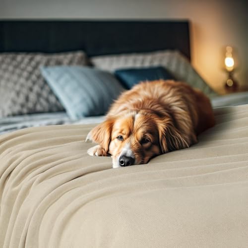 Utopia Bedding Soft Jersey Knit Blanket Camel King (90x102 Inches)